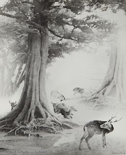 Chin San Long Photograph "Deer in Forest" Signed Silver Gelatin