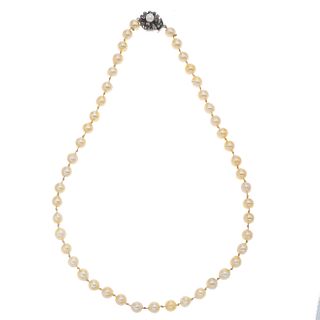 Collar de un hilo de perlas cultivadas, rubíes y broche de plata . 48 perlas cultivadas color crema de 7 mm. 4 rubíes facetados.
