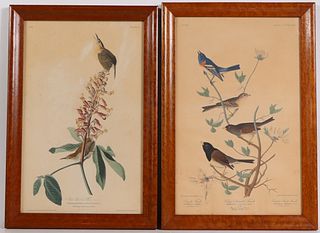 Two Audubon Prints, 19th/20th C.