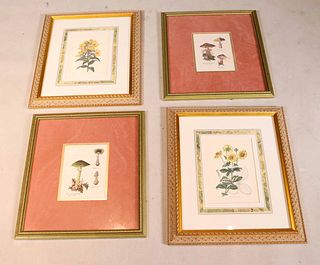 Group of Flora Prints, 20th C.