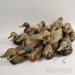 Fifteen Carved and Painted Pine Duck Decoys