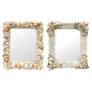 Pair Of Genuine Snail Shell & White Coral Mirrors