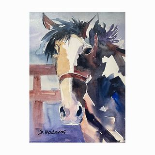 Diana Madaras Giclee Art Print On Canvas Of Horse