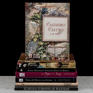 Libros sobre Arte. Casimiro Castro y su Taller / El México Luminoso de Rugendas / Visión de México y sus Artistas. Pzs: 8.