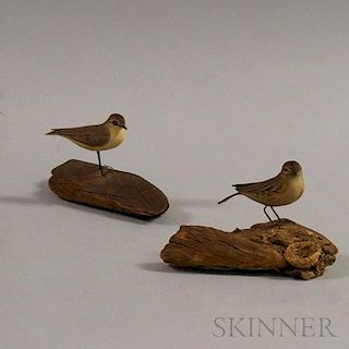 Two Carved and Painted Water Pipits
