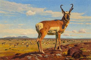 Michael Romney (b. 1977) – Pronghorn Country (2007) 
