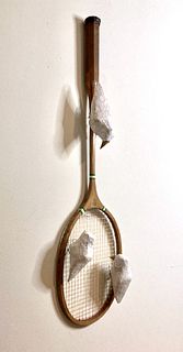 Badminton Birdies
