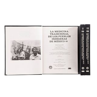 Mellado Campos, Virginia. La Medicina Tradicional de los Pueblos Indígenas de México. México; 1994. Piezas: 3.