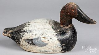 Carved and painted canvasback duck decoy