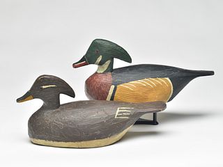 Rare and important pair of wood ducks, Miles Hancock, Chincoteague, Virginia, 2nd quarter 20th century.