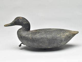 Extremely rare black duck, John Graham, Charlestown, Maryland, 3rd quarter 19th century.