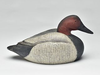 Hollow carved canvasback drake, Mandt Homme, Stoughton, Wisconsin, 2nd quarter 20th century.