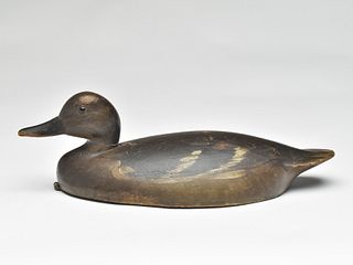 Hollow carved pintail hen, very similar to the work of John R. Wells, Toronto, Ontario.