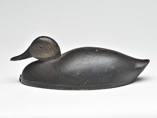 Low head style black duck, Ontario, possibly John R. Wells.