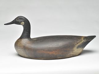 Canada goose, John Reeves, Toronto Ontario last qtr 19th century.