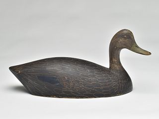 Black duck, Charles Buchanan, Gananaque, Ontario, 2nd quarter 20th century.