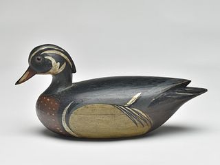 Wood duck drake, Mark McNair, Craddockville, Virginia.