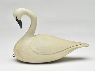 An early and well carved 1/3 size trumpeter swan, William Gibian, Onancock, Virginia.
