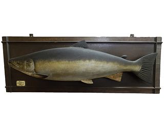 Salmon carved by A. J. Gear 1923.