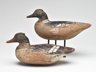 Rigmate pair of mergansers, attributed to Steven Baldwin, Seaford, New York, last quarter 19th century.