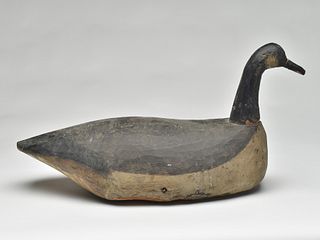 Root head Canada goose from Long Island, 1st quarter 20th century.