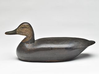 Hollow carved black duck, Joe Crumb, Oyster, Virginia, 1st quarter 20th century.