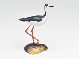 Miniature black necked stilt, Steve Weaver, Cape Cod, Massachusetts.
