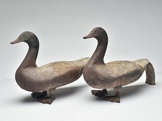 Rare pair of Canada goose andirons, 1st quarter 20th century.