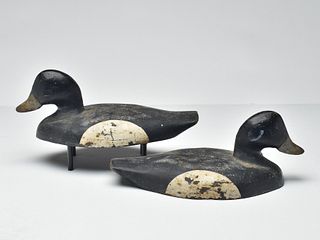 Pair of cast iron sink box decoys from Long Island, New York.