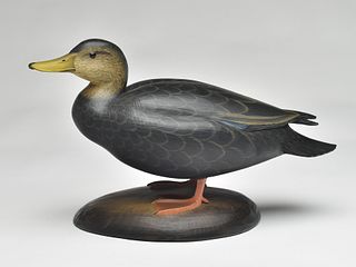Standing black duck, George Strunk, Glendora, New Jersey.