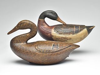 Impressive pair of mallards carved in the Caines Brothers style, Ira Skees, Chincoteague, Virginia.