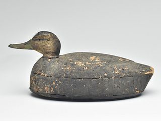 Black duck, Elmer Crowell, East Harwich, Massachusetts, 1st quarter 20th century.
