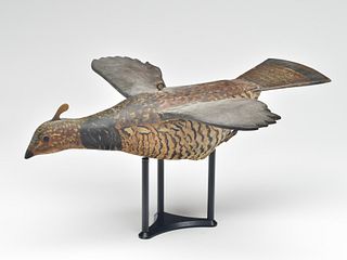 Flying grouse, Phillipe Sirois, Arrowsic, Maine.