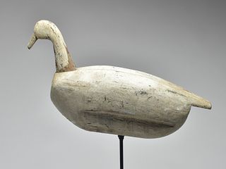Root head swan, North Carolina, unknown maker, 1st quarter 20th century.