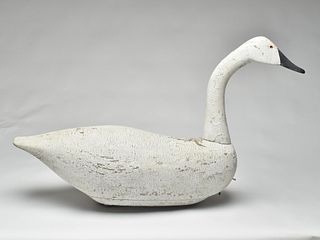Large and important hollow carved swan decoy, unknown maker, circa 1900.