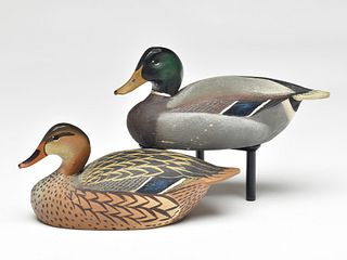 Rigmate pair of 1/2 size mallards, Ward Brothers, Crisfield, Maryland.