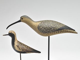 Large curlew and black bellied plover, Pete Peterson, Cape Charles, Virginia.