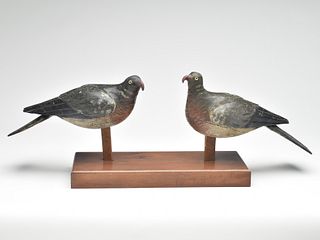 A pair of English wood pigeon, Turlock and Harris.
