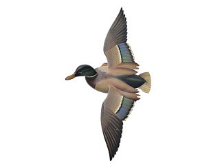 Rare and finely made flying mallard drake, William Cranmer, Beach Haven, New Jersey.