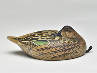 Important sleeping greenwing teal hen, carved by William Cranmer and painted by Lem Ward.