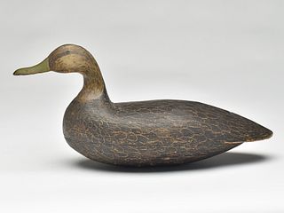 High head black duck, Gideon Lippincott, Wading River, New Jersey, 3rd quarter 19th century.