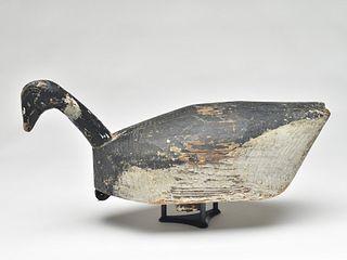 Root head brant from the Eastern Shore of Virginia, 1st quarter 19th century.