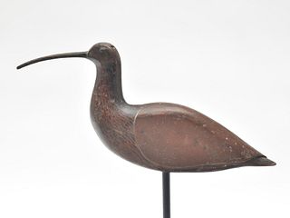 Early curlew, Salem County, New Jersey, last quarter 19th century.