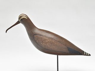 Large and impressive curlew from Cape May, New Jersey, unknown maker, circa 1900.
