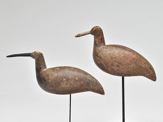Two yellowlegs, Ephram Hildreth, Cape May County, New Jersey, 3rd quarter 19th century.