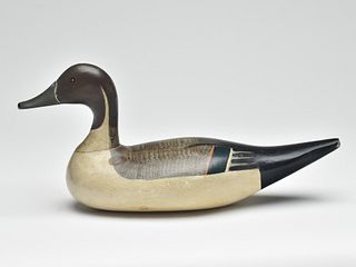 Excellent pintail drake, Robert McGaw, Havre de Grace, Maryland, 2nd quarter 20th century.