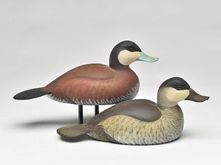 Match pair of ruddy ducks, Joe Wooster, Buckeye Lake, Ohio.