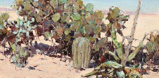 Burt Procter, Untitled (Cacti in the Desert)