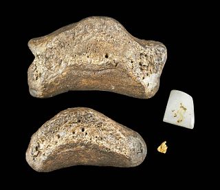 2 Fossilized Dinosaur Bones & 2 Yukon Gold Flecks
