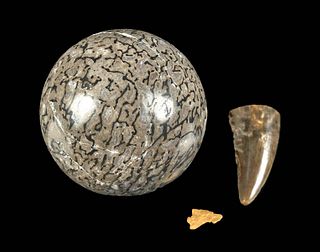 Fossilized Dinosaur Tooth & Bone w/ Gold Piece